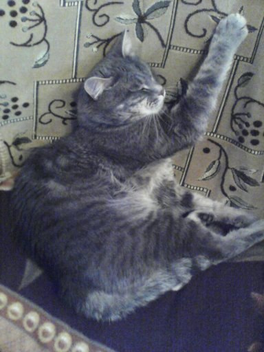 Дмитрий Воробьев | Екатеринбург