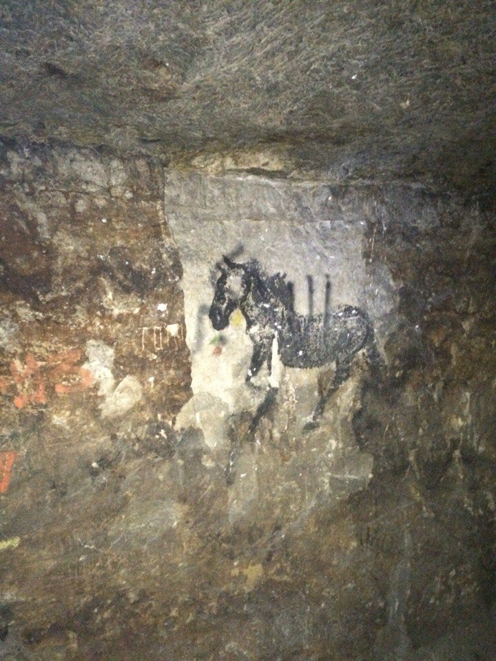 Дарья Титова Юрьевна | Королёв