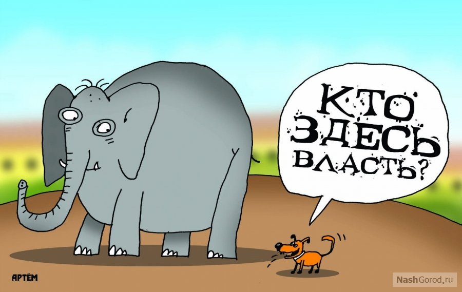 Кто здесь. Слон и моська прикол. Кто здесь власть?. Слон и моська карикатура. Прикольные карикатуры слон и моська. Кто здесь. Слон и моська прикол. Кто здесь власть?. Слон и моська карикатура. Прикольные карикатуры слон и моська.