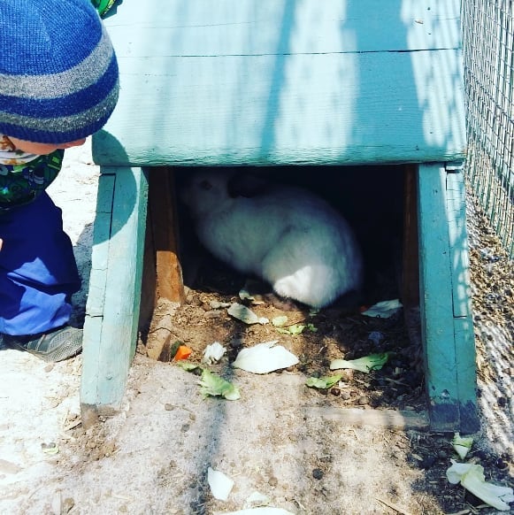 Надежда Малкова | Березовский