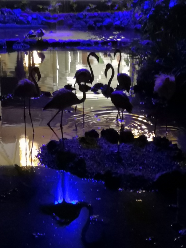 Ольга Громова | Санкт-Петербург