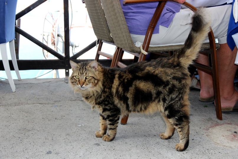 Марина Махетова | Красноярск