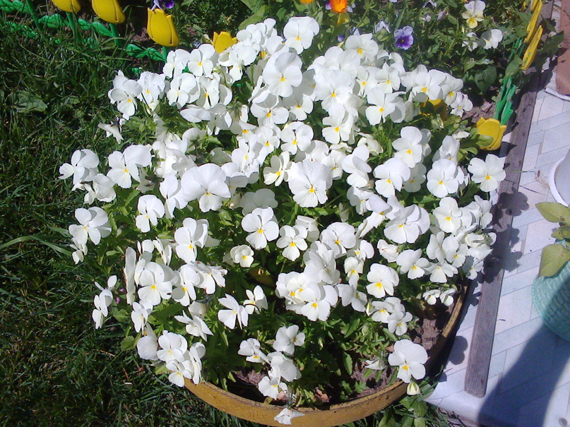 Наталья Мартьянова | Лахденпохья