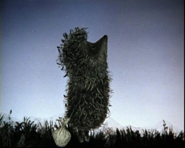 Анна Кравченко | Москва