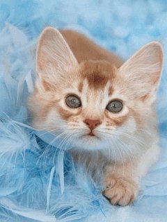 Екатерина Райская | Минск