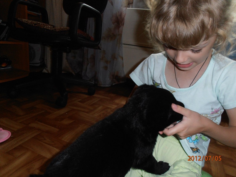 Елена Хрусталева | Новосибирск