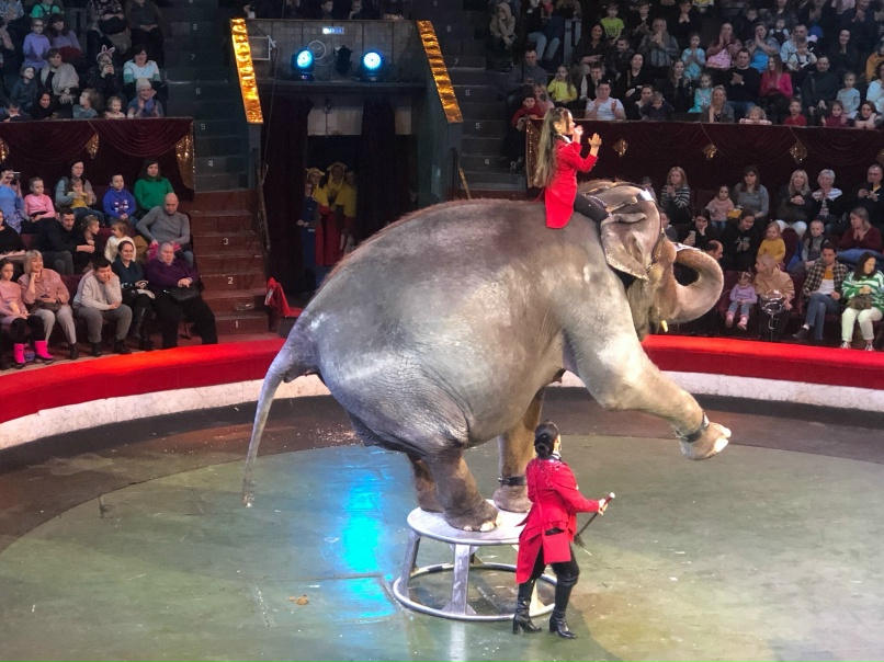 Настя Маркова | Пермь