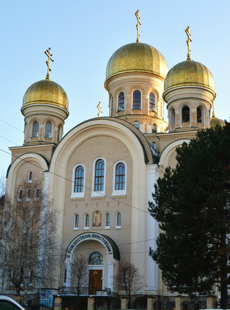 Оксана Дмитриева | Новосибирск