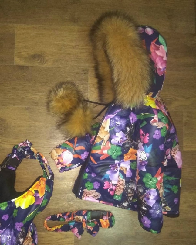 Юлия Малиновская | Одесса