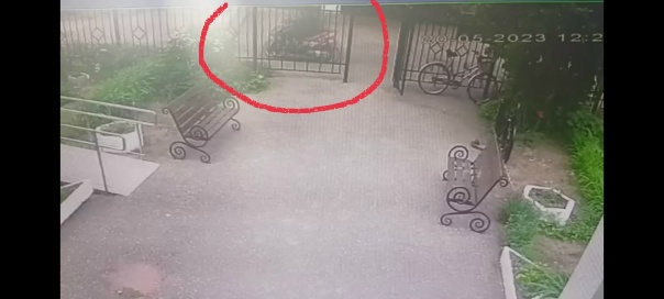 Добрый день. В субботу 20 мая 2023 года в 12.27 от ЦДТТ(СЮТ)...