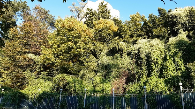 Нина Кузьмина | Санкт-Петербург