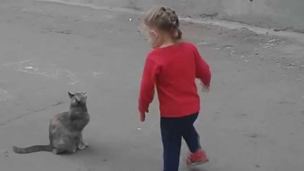 Моя сестра разговаривает с котом. Очень смешное