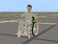 Handicap