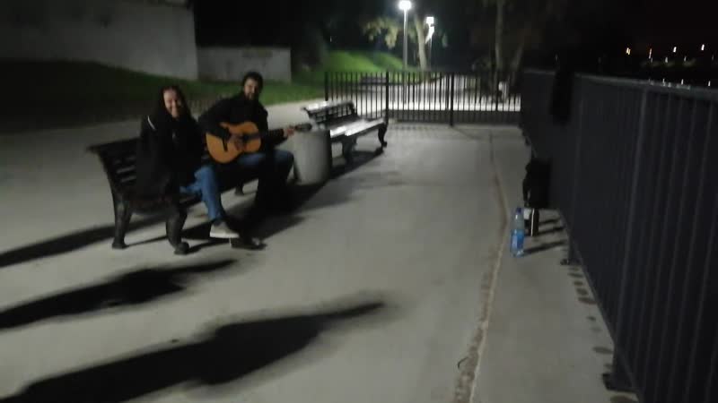 бело синие самые красивые цвета
