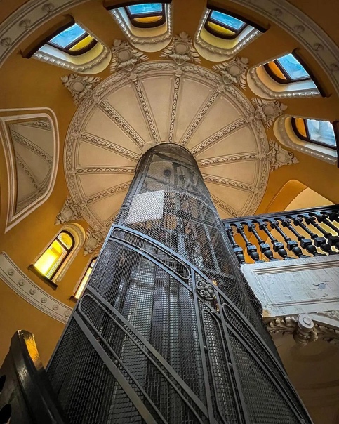 Парадная ромашка санкт петербург Парадная ромашка санкт петербург