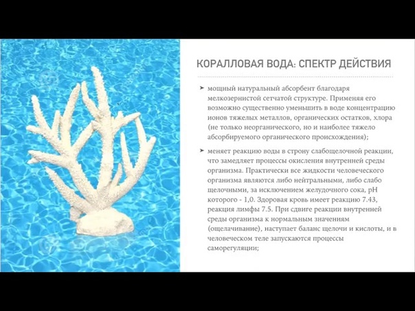 Представление Core ALL президентом компании Аврора Ником