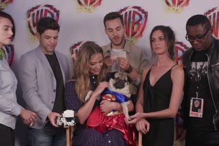 Doug the Pug Interviews SUPERGIRL at Comic-Con 2017 #WBSDCC